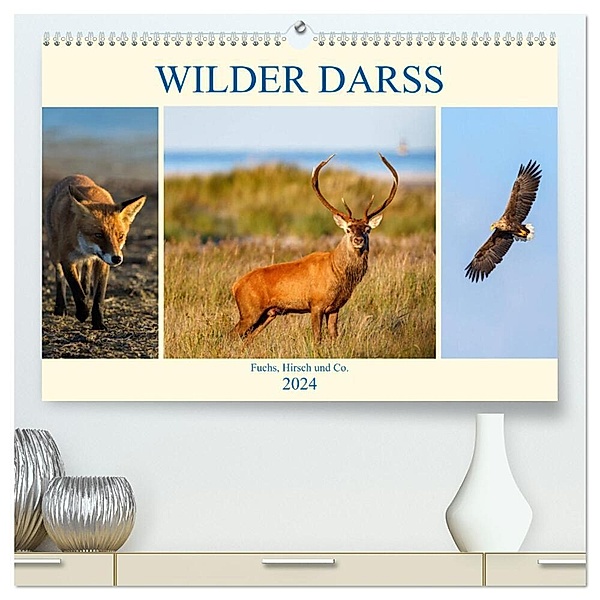 Wilder Darß - Fuchs, Hirsch und Co. 2024 (hochwertiger Premium Wandkalender 2024 DIN A2 quer), Kunstdruck in Hochglanz, Daniela Beyer (Moqui)