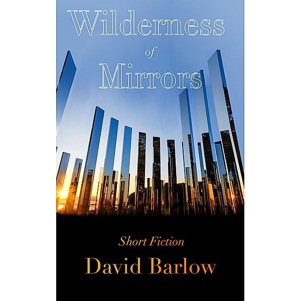 Wilderness of Mirrors, David Barlow