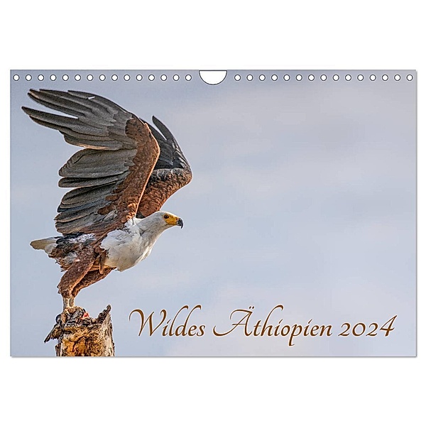 Wildes Äthiopien (Wandkalender 2024 DIN A4 quer), CALVENDO Monatskalender, Rolf Hecker