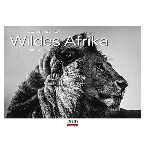 Wildes Afrika 2019, Laurent Baheux