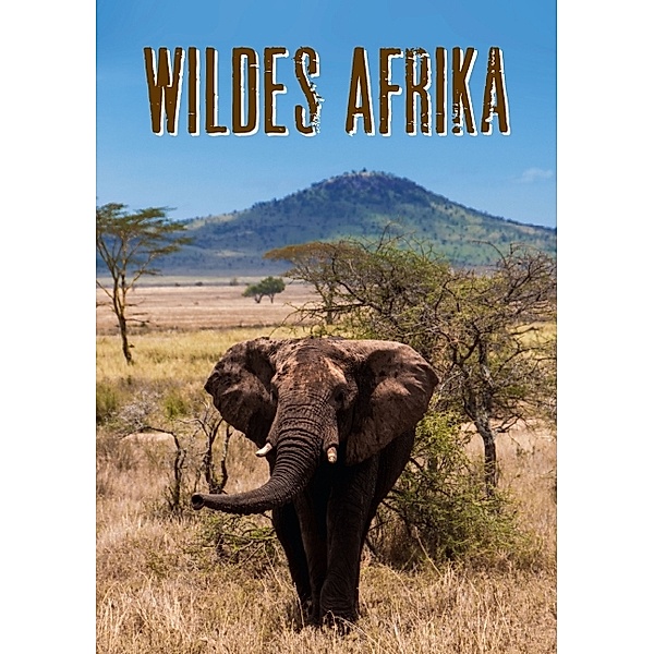 Wildes Afrika (Tischaufsteller DIN A5 hoch), Frank Paul Kaiser