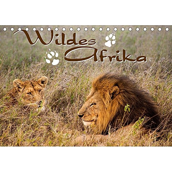 Wildes Afrika (Tischkalender 2020 DIN A5 quer), N N