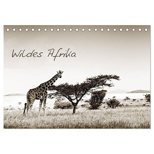 Wildes Afrika (Tischkalender 2024 DIN A5 quer), CALVENDO Monatskalender, Klaus Tiedge - Wanyamacollection