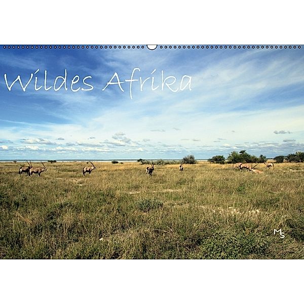 Wildes Afrika (Wandkalender 2014 DIN A4 quer)