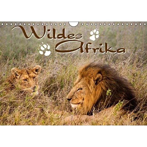 Wildes Afrika (Wandkalender 2014 DIN A4 quer)