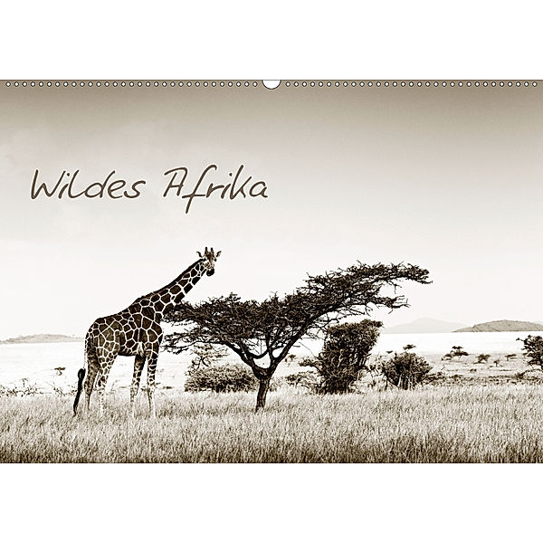 Wildes Afrika (Wandkalender 2020 DIN A2 quer), Klaus Tiedge - Wanyamacollection