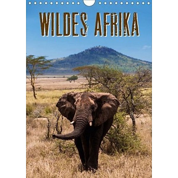 Wildes Afrika (Wandkalender 2020 DIN A4 hoch), Frank Paul Kaiser