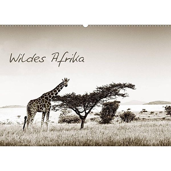 Wildes Afrika (Wandkalender 2023 DIN A2 quer), Klaus Tiedge - Wanyamacollection