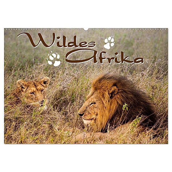 Wildes Afrika (Wandkalender 2024 DIN A2 quer), CALVENDO Monatskalender, Calvendo