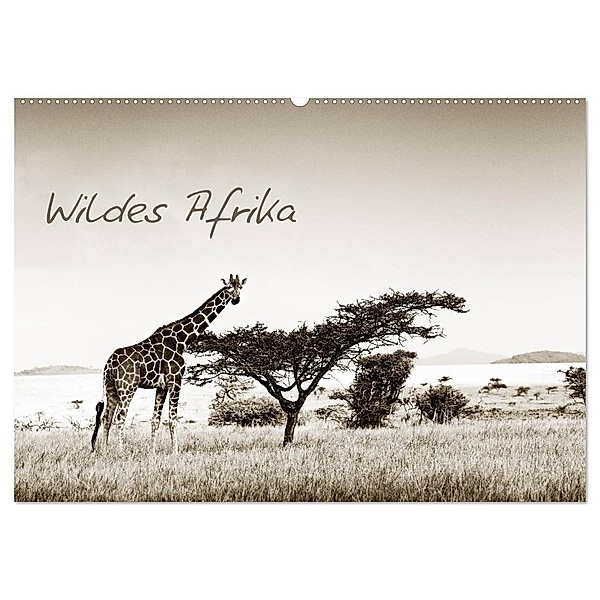 Wildes Afrika (Wandkalender 2024 DIN A2 quer), CALVENDO Monatskalender, Klaus Tiedge - Wanyamacollection