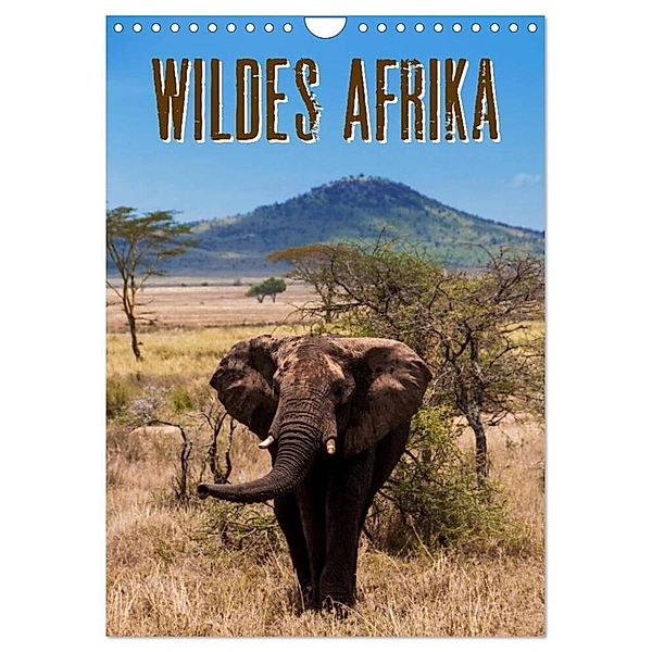 Wildes Afrika (Wandkalender 2024 DIN A4 hoch), CALVENDO Monatskalender, Frank Paul Kaiser