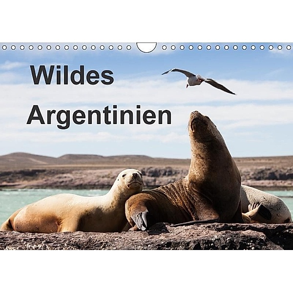 Wildes Argentinien (Wandkalender 2017 DIN A4 quer), Sabine Reuke