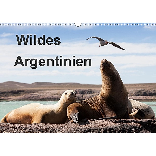 Wildes Argentinien (Wandkalender 2020 DIN A3 quer), Sabine Reuke