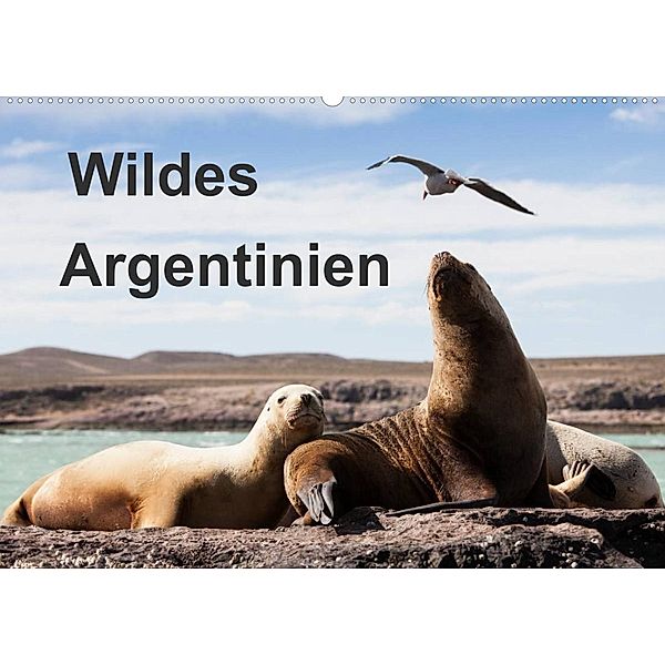Wildes Argentinien (Wandkalender 2023 DIN A2 quer), Sabine Reuke
