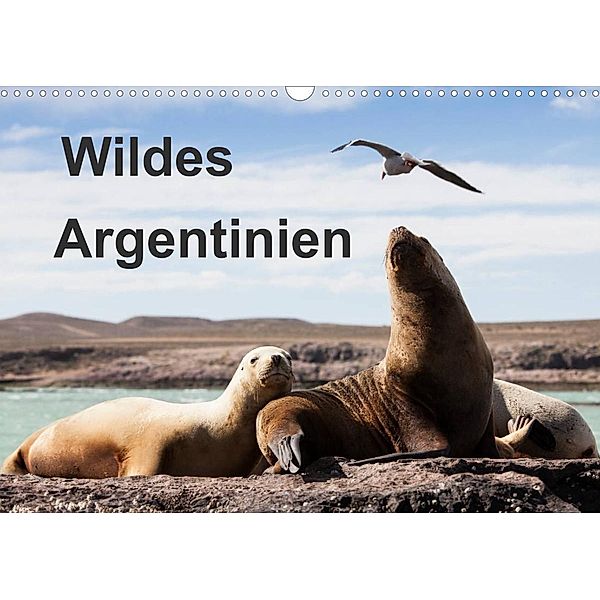 Wildes Argentinien (Wandkalender 2023 DIN A3 quer), Sabine Reuke