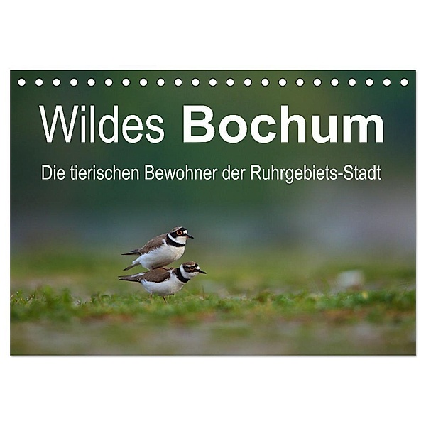 Wildes Bochum (Tischkalender 2024 DIN A5 quer), CALVENDO Monatskalender, Stefan Schütter