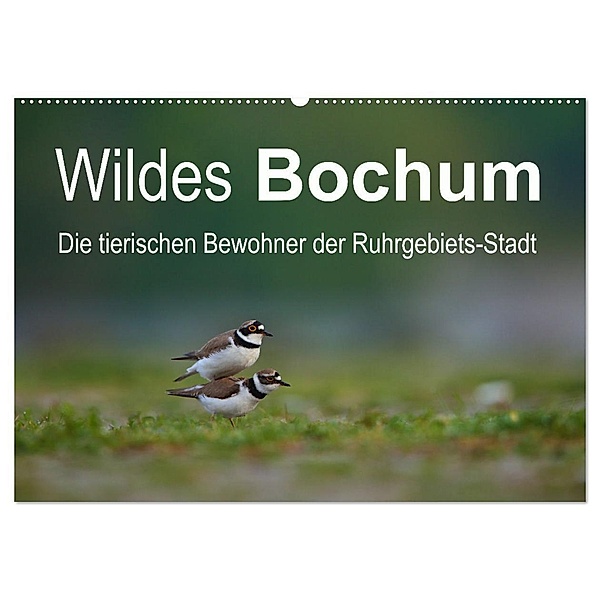 Wildes Bochum (Wandkalender 2024 DIN A2 quer), CALVENDO Monatskalender, Stefan Schütter