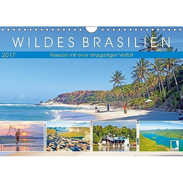 Wildes Brasilien: Reiseziel mit einer einzigartigen Vielfalt (Wandkalender 2017 DIN A4 quer), CALVENDO