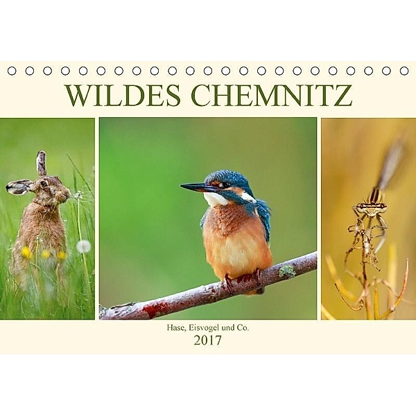 Wildes Chemnitz - Hase, Eisvogel und Co. (Tischkalender 2017 DIN A5 quer), Daniela Beyer