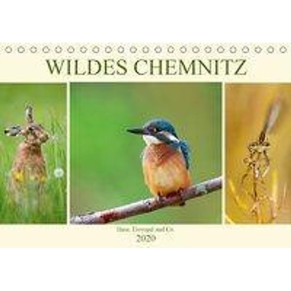 Wildes Chemnitz - Hase, Eisvogel und Co. (Tischkalender 2020 DIN A5 quer), Daniela Beyer