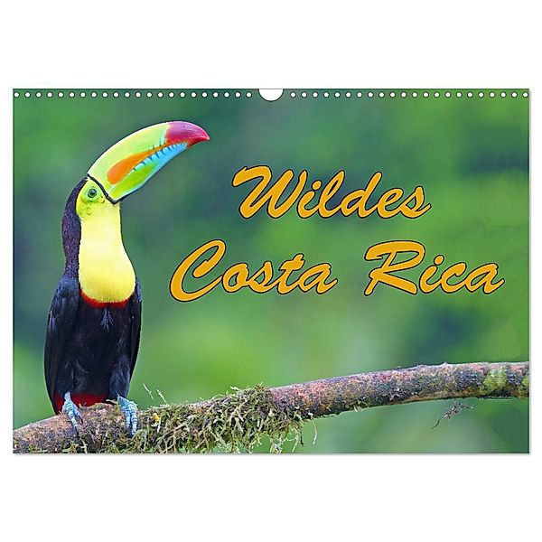 Wildes Costa Rica (Wandkalender 2025 DIN A3 quer), CALVENDO Monatskalender, Calvendo, Stefan Schütter