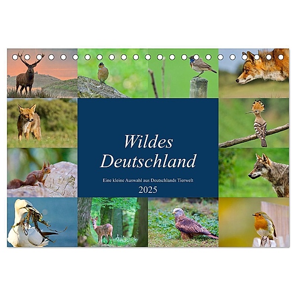 Wildes Deutschland (Tischkalender 2025 DIN A5 quer), CALVENDO Monatskalender, Calvendo, Andreas"aFriend" Freund