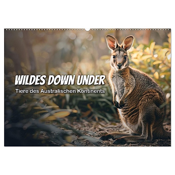 Wildes Down Under: Tiere des Australischen Kontinents (Wandkalender 2025 DIN A2 quer), CALVENDO Monatskalender, Calvendo, Peter R. Stuhlmann