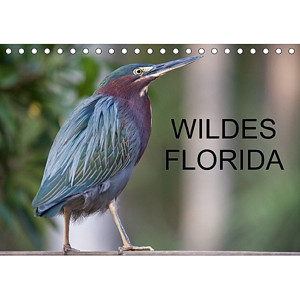 Wildes Florida (Tischkalender 2018 DIN A5 quer), Stefan Schütter