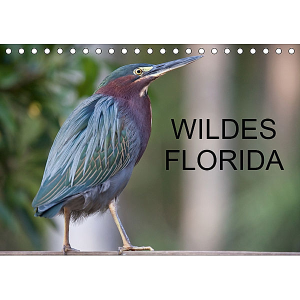 Wildes Florida (Tischkalender 2019 DIN A5 quer), Stefan Schütter