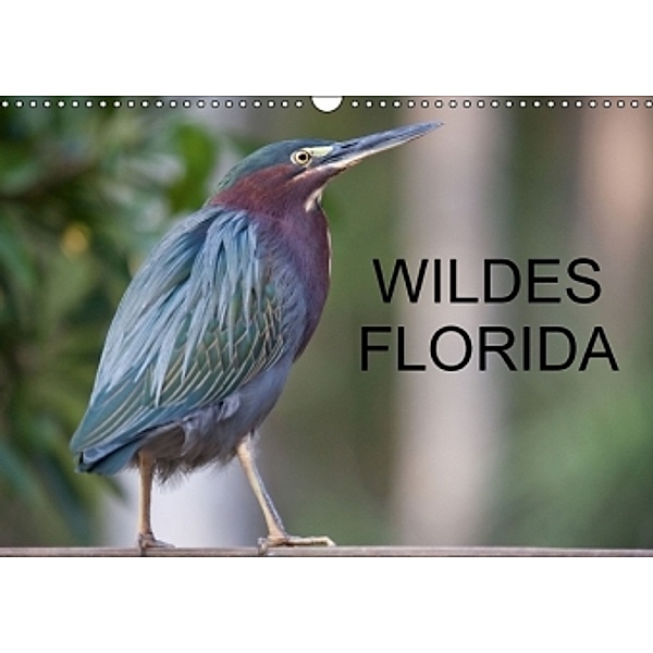 Wildes Florida (Wandkalender 2015 DIN A3 quer), Stefan Schütter