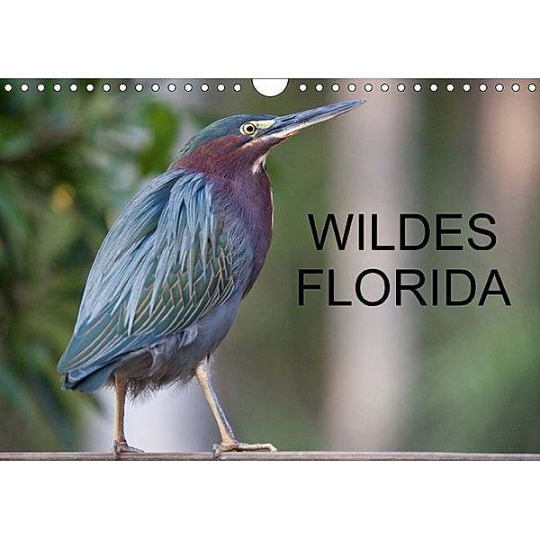 Wildes Florida (Wandkalender 2018 DIN A4 quer), Stefan Schütter