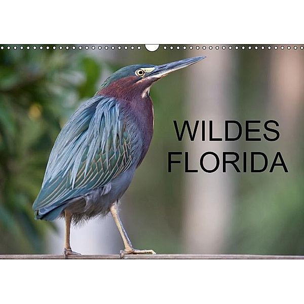 Wildes Florida (Wandkalender 2019 DIN A3 quer), Stefan Schütter