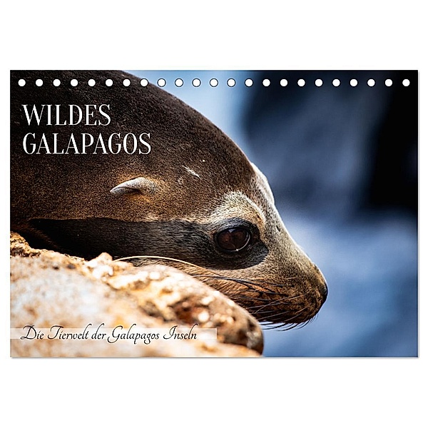 Wildes Galapagos - Die Tiere der Galapagos Inseln (Tischkalender 2024 DIN A5 quer), CALVENDO Monatskalender, In X Tagen um die Welt