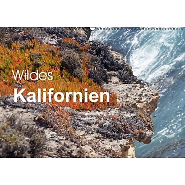 Wildes Kalifornien (Wandkalender 2015 DIN A2 quer), Bettina Blaß