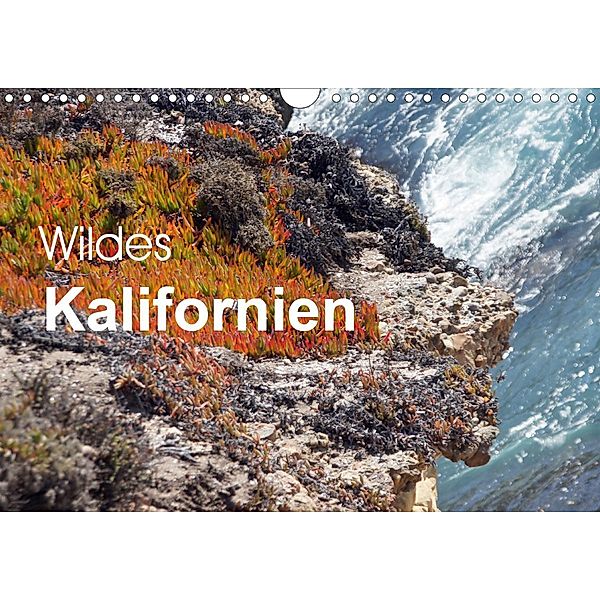 Wildes Kalifornien (Wandkalender 2021 DIN A4 quer), Bettina Blaß