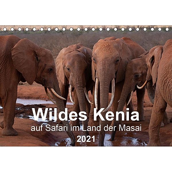 Wildes Kenia - auf Safari im Land der Massai (Tischkalender 2021 DIN A5 quer), Maximilian Schurig
