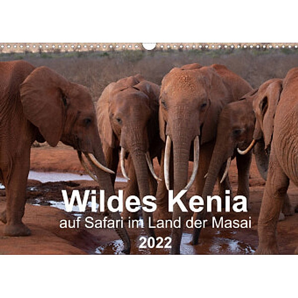 Wildes Kenia - auf Safari im Land der Massai (Wandkalender 2022 DIN A3 quer), Maximilian Schurig