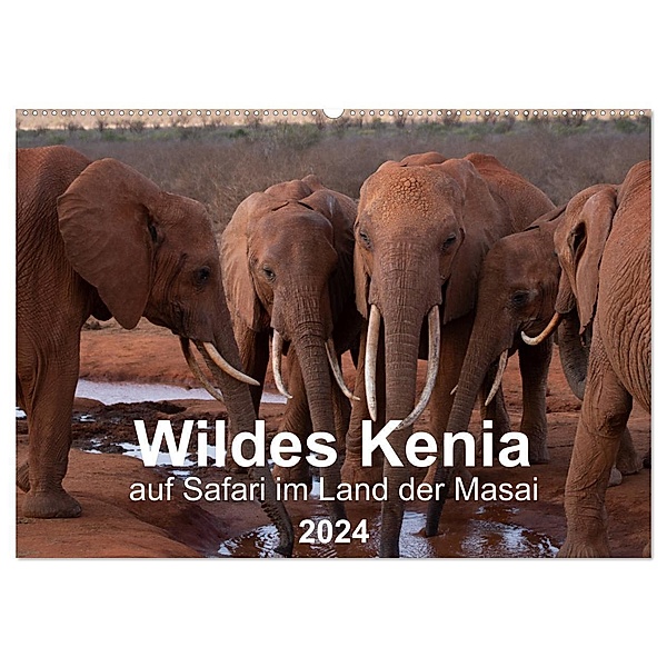Wildes Kenia - auf Safari im Land der Massai (Wandkalender 2024 DIN A2 quer), CALVENDO Monatskalender, Maximilian Schurig