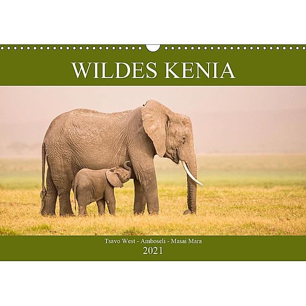 Wildes Kenia (Wandkalender 2021 DIN A3 quer), Martina Schikore