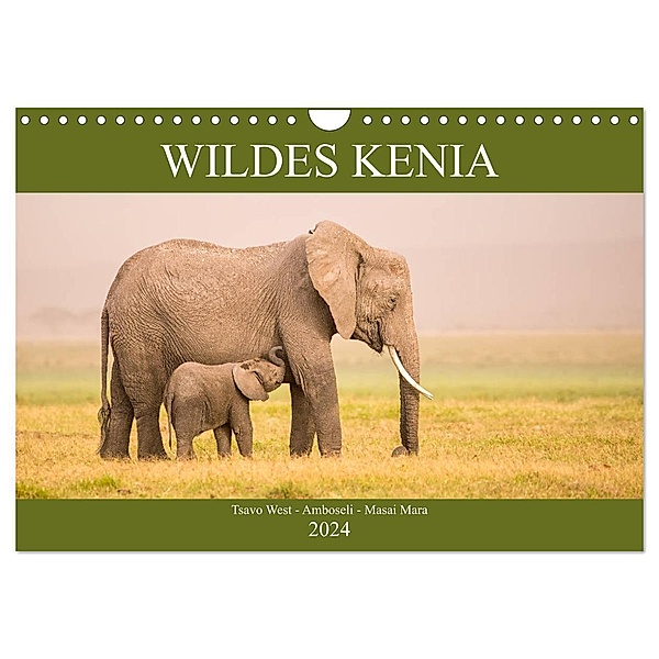 Wildes Kenia (Wandkalender 2024 DIN A4 quer), CALVENDO Monatskalender, Martina Schikore