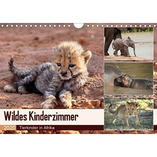 Wildes Kinderzimmer - Tierkinder in Afrika (Wandkalender 2020 DIN A4 quer), Michael Herzog