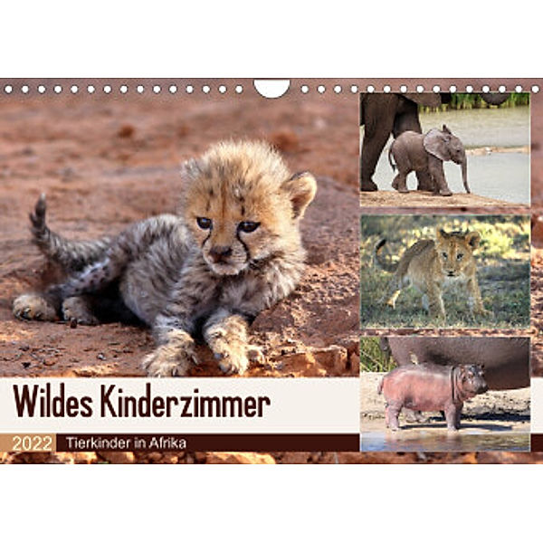 Wildes Kinderzimmer - Tierkinder in Afrika (Wandkalender 2022 DIN A4 quer), Michael Herzog