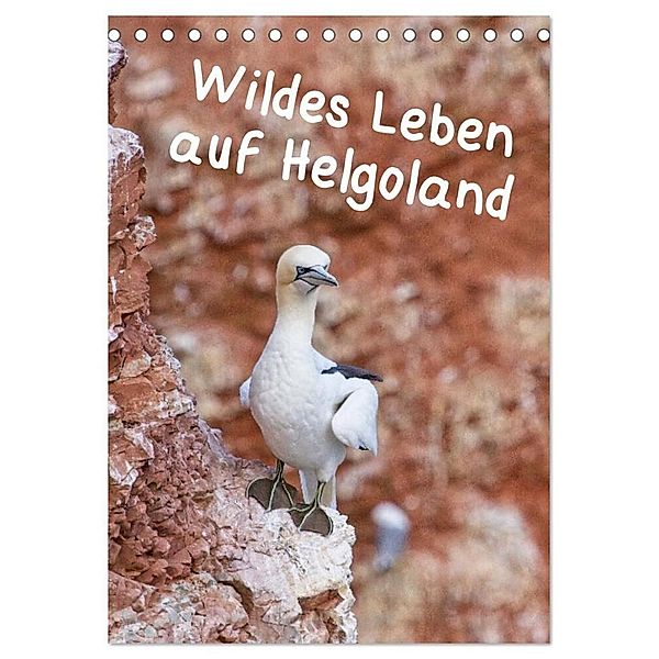 Wildes Leben auf Helgoland (Tischkalender 2024 DIN A5 hoch), CALVENDO Monatskalender, Kathrin Voss