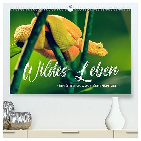 Wildes Leben - Ein Streifzug auf Zehenspitzen (hochwertiger Premium Wandkalender 2025 DIN A2 quer), Kunstdruck in Hochglanz, Calvendo, Sonja Schlichter