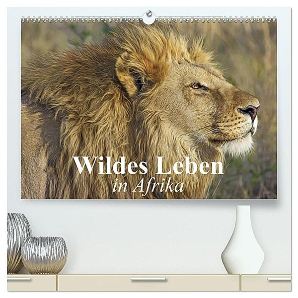 Wildes Leben in Afrika (hochwertiger Premium Wandkalender 2024 DIN A2 quer), Kunstdruck in Hochglanz, Elisabeth Stanzer