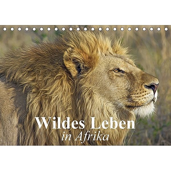 Wildes Leben in Afrika (Tischkalender 2018 DIN A5 quer), Elisabeth Stanzer