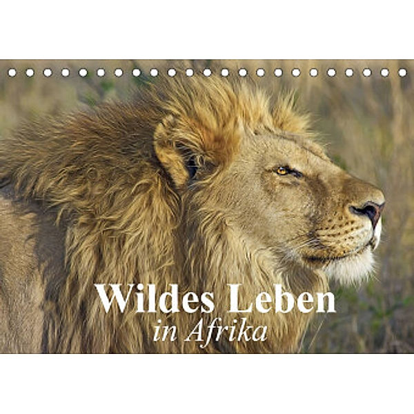 Wildes Leben in Afrika (Tischkalender 2022 DIN A5 quer), Elisabeth Stanzer