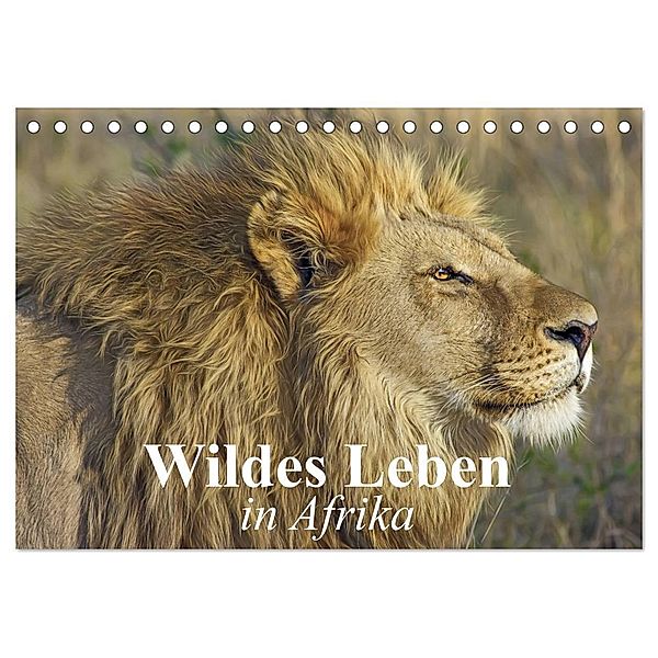 Wildes Leben in Afrika (Tischkalender 2025 DIN A5 quer), CALVENDO Monatskalender, Calvendo, Elisabeth Stanzer