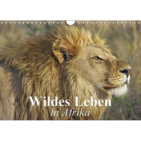 Wildes Leben in Afrika (Wandkalender 2017 DIN A4 quer), Elisabeth Stanzer