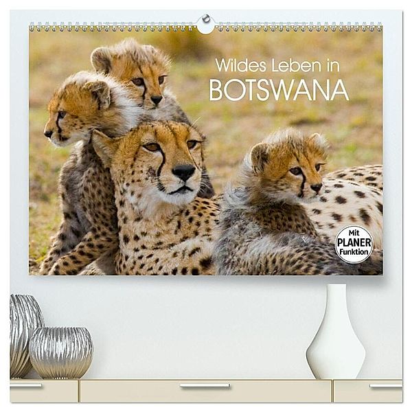 Wildes Leben in Botswana (hochwertiger Premium Wandkalender 2024 DIN A2 quer), Kunstdruck in Hochglanz, Elisabeth Stanzer